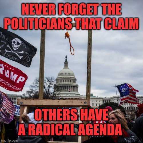 Who are these radicals? | NEVER FORGET THE POLITICIANS THAT CLAIM; OTHERS HAVE A RADICAL AGENDA | image tagged in capitol riot gallows noose pence | made w/ Imgflip meme maker
