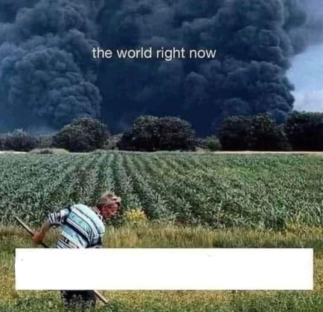 The world right now Blank Meme Template