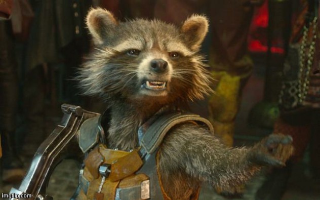 rocket racoon | image tagged in rocket racoon | made w/ Imgflip meme maker