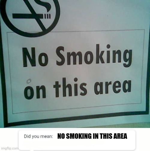 No Smoking on this area means no smoking above this area meaning space | NO SMOKING IN THIS AREA | image tagged in google do you mean,typos,you had one job | made w/ Imgflip meme maker