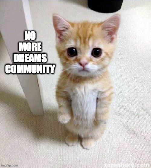 Tell me more | NO MORE DREAMS COMMUNITY | image tagged in cute cat,we weren't expecting special forces | made w/ Imgflip meme maker