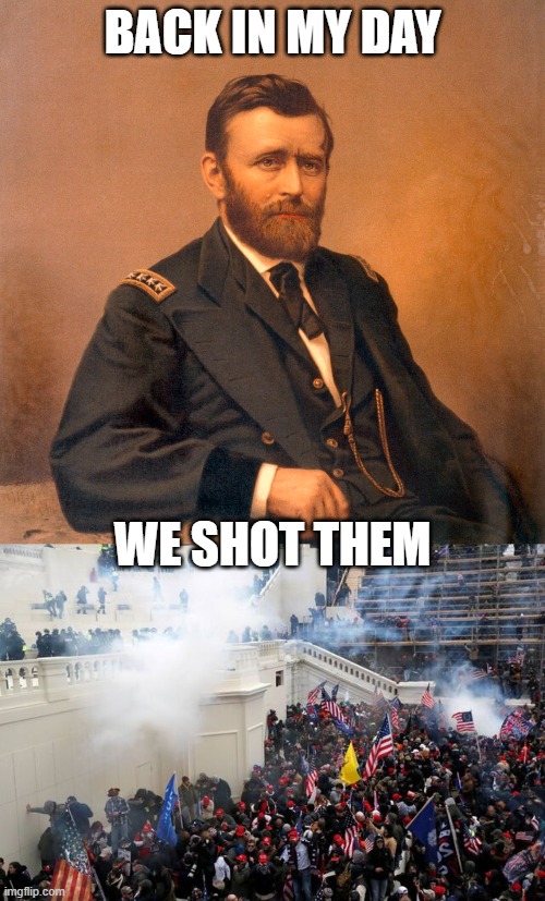 They have no business flying American flags | BACK IN MY DAY; WE SHOT THEM | image tagged in general ulysses s grant,civil war,memes,politics,treason,confederacy | made w/ Imgflip meme maker