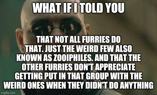 Matrix Morpheus Meme | WHAT IF I TOLD YOU THAT NOT ALL FURRIES DO THAT. JUST THE WEIRD FEW ALSO KNOWN AS ZOOIPHILES. AND THAT THE OTHER FURRIES DON'T APPRECIATE GE | image tagged in memes,matrix morpheus | made w/ Imgflip meme maker