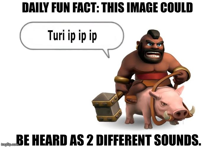 DAILY FUN FACT: THIS IMAGE COULD; BE HEARD AS 2 DIFFERENT SOUNDS. | image tagged in memes,fan,facts | made w/ Imgflip meme maker