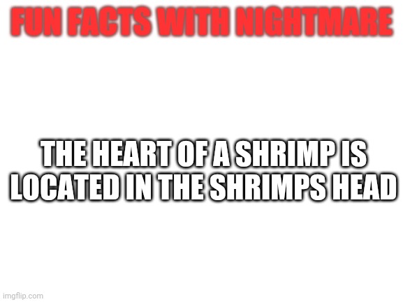 Fun fact! | FUN FACTS WITH NIGHTMARE; THE HEART OF A SHRIMP IS LOCATED IN THE SHRIMPS HEAD | image tagged in blank white template,fun fact | made w/ Imgflip meme maker