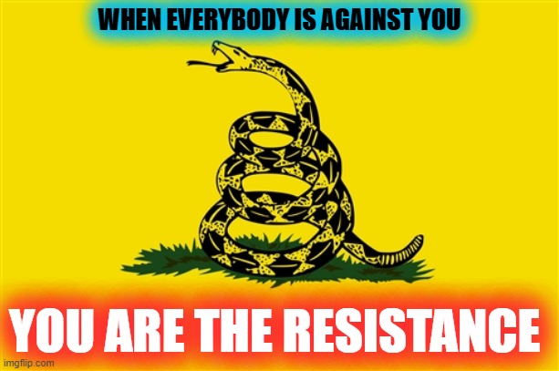 I Didn't Make The Rules, but we can play by yours | WHEN EVERYBODY IS AGAINST YOU; YOU ARE THE RESISTANCE | image tagged in dont tread on me,culture,live and let die,time has come today,talking,keep talking | made w/ Imgflip meme maker