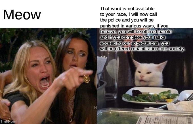 Racist woman | That word is not available to your race, I will now call the police and you will be punished in various ways, if you behave, you will be offered parole and if you complete your tasks exceeding our expectations, you will be offered rehabilitation into society. Meow | image tagged in memes,woman yelling at cat | made w/ Imgflip meme maker