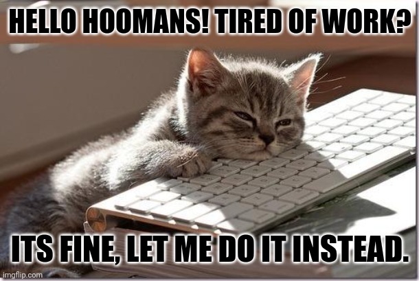 Bored Keyboard Cat | HELLO HOOMANS! TIRED OF WORK? ITS FINE, LET ME DO IT INSTEAD. | image tagged in memes,kitten,work | made w/ Imgflip meme maker