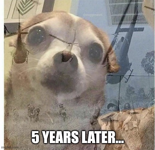PTSD Chihuahua | 5 YEARS LATER... | image tagged in ptsd chihuahua | made w/ Imgflip meme maker