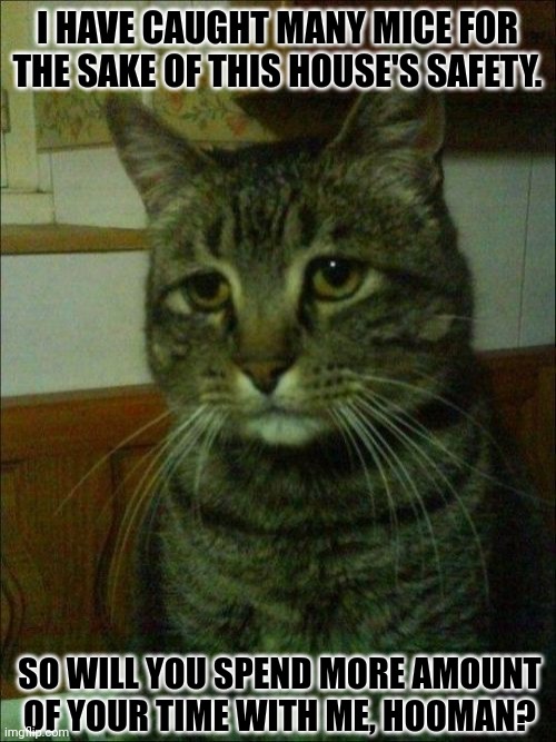 Depressed Cat | I HAVE CAUGHT MANY MICE FOR THE SAKE OF THIS HOUSE'S SAFETY. SO WILL YOU SPEND MORE AMOUNT OF YOUR TIME WITH ME, HOOMAN? | image tagged in memes,kitten,good | made w/ Imgflip meme maker