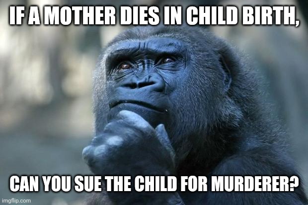 Dank Deep thoughts | IF A MOTHER DIES IN CHILD BIRTH, CAN YOU SUE THE CHILD FOR MURDERER? | image tagged in deep thoughts | made w/ Imgflip meme maker