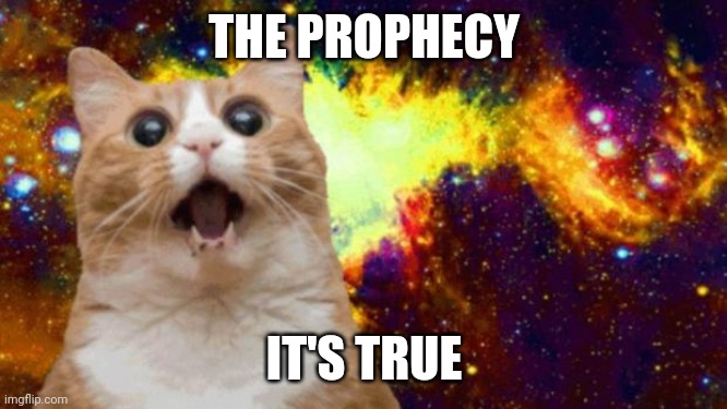space cat | THE PROPHECY; IT'S TRUE | image tagged in space cat | made w/ Imgflip meme maker
