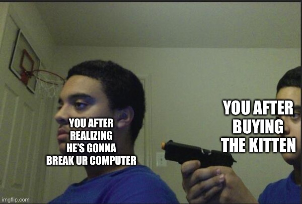 Trust Nobody, Not Even Yourself | YOU AFTER REALIZING HE’S GONNA BREAK UR COMPUTER YOU AFTER BUYING THE KITTEN | image tagged in trust nobody not even yourself | made w/ Imgflip meme maker