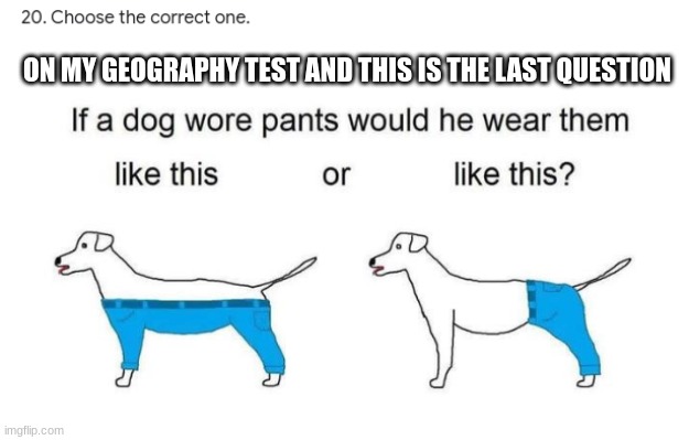 good question | ON MY GEOGRAPHY TEST AND THIS IS THE LAST QUESTION | image tagged in dog,bruh,exams,first world problems | made w/ Imgflip meme maker