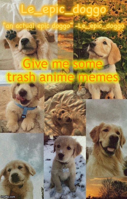 Doggo temp by doggo. Wait what that’s confusing | Give me some trash anime memes | image tagged in doggo temp by doggo wait what that s confusing | made w/ Imgflip meme maker
