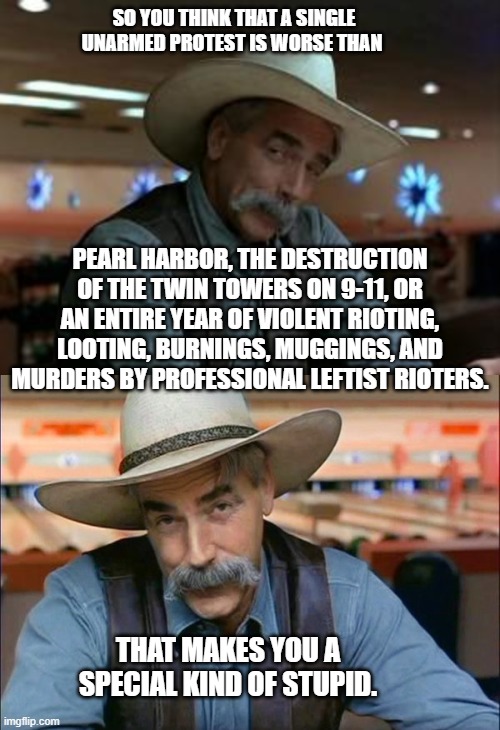 Gotta admit that the average Dem Party voter IS . . . a special kind of stupid. | SO YOU THINK THAT A SINGLE UNARMED PROTEST IS WORSE THAN; PEARL HARBOR, THE DESTRUCTION OF THE TWIN TOWERS ON 9-11, OR AN ENTIRE YEAR OF VIOLENT RIOTING, LOOTING, BURNINGS, MUGGINGS, AND MURDERS BY PROFESSIONAL LEFTIST RIOTERS. THAT MAKES YOU A SPECIAL KIND OF STUPID. | image tagged in special kind of stupid | made w/ Imgflip meme maker