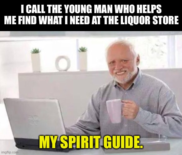 Liquor | I CALL THE YOUNG MAN WHO HELPS ME FIND WHAT I NEED AT THE LIQUOR STORE; MY SPIRIT GUIDE. | image tagged in harold | made w/ Imgflip meme maker