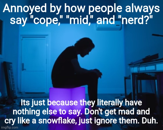 Annoyed by how people always say "cope," "mid," and "nerd?"; Its just because they literally have nothing else to say. Don't get mad and cry like a snowflake, just ignore them. Duh. | image tagged in bo burnham five years | made w/ Imgflip meme maker