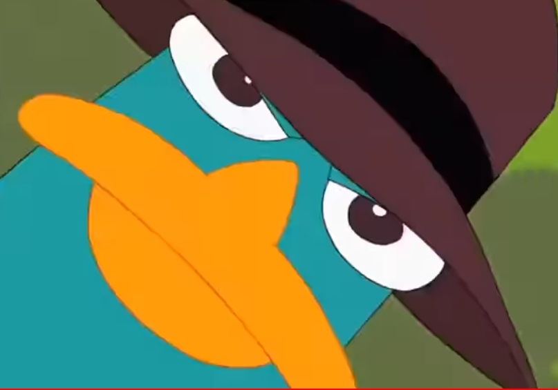 Perry looks at you Blank Meme Template