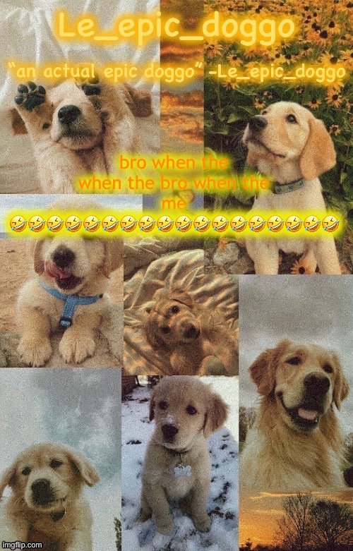 Doggo temp by doggo. Wait what that’s confusing | bro when the when the bro when the me 🤣🤣🤣🤣🤣🤣🤣🤣🤣🤣🤣🤣🤣🤣🤣🤣🤣🤣 | image tagged in doggo temp by doggo wait what that s confusing | made w/ Imgflip meme maker