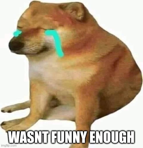 whenever i say somthing slightly unfunny they always say dam got the whole squad laughing | WASNT FUNNY ENOUGH | image tagged in cheems crying | made w/ Imgflip meme maker