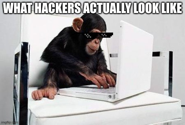 Monkey computer | WHAT HACKERS ACTUALLY LOOK LIKE | image tagged in monkey computer | made w/ Imgflip meme maker