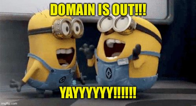 EXCITED NOISES | DOMAIN IS OUT!!! YAYYYYYY!!!!!! | image tagged in memes,excited minions | made w/ Imgflip meme maker