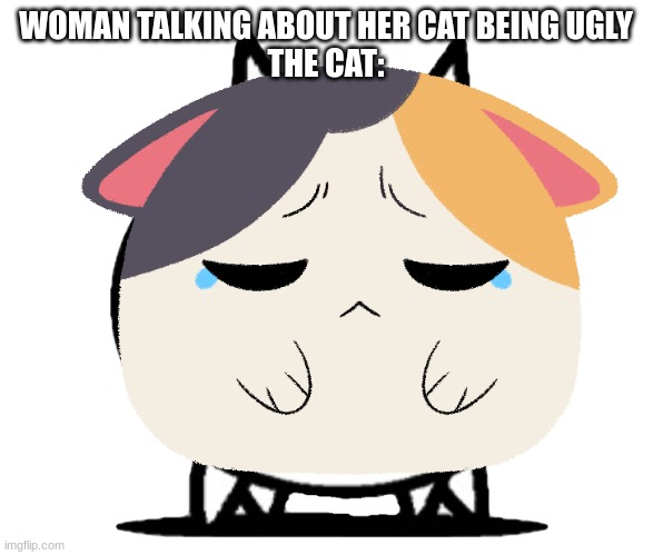 sad cat | WOMAN TALKING ABOUT HER CAT BEING UGLY
THE CAT: | image tagged in cat,woman yelling at cat,sad cat | made w/ Imgflip meme maker