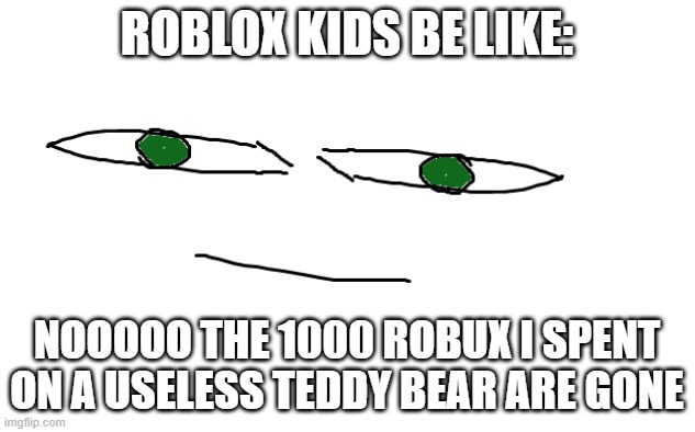 Looked awesome | ROBLOX KIDS BE LIKE:; NOOOOO THE 1000 ROBUX I SPENT ON A USELESS TEDDY BEAR ARE GONE | image tagged in looked awesome | made w/ Imgflip meme maker