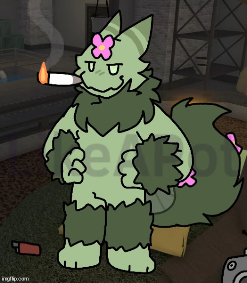 weed cat 2.0 | image tagged in shitpost status | made w/ Imgflip meme maker