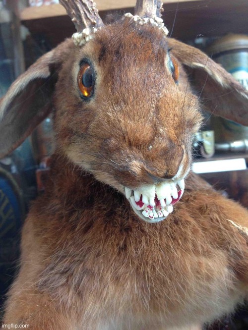 This is why you should never combine a goat with a bunny | image tagged in memes,cursed image,cursed,funny,funny memes | made w/ Imgflip meme maker