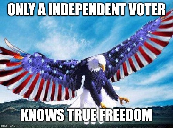 Party lines suck | ONLY A INDEPENDENT VOTER; KNOWS TRUE FREEDOM | image tagged in freedom eagle | made w/ Imgflip meme maker