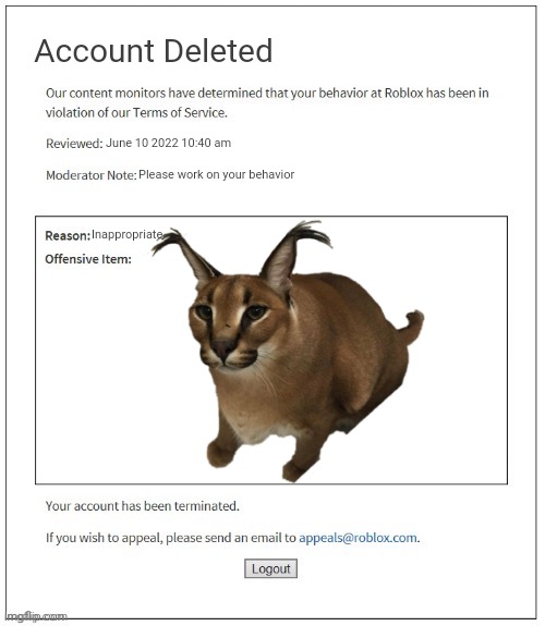 Roblox is Gay |  Account Deleted; June 10 2022 10:40 am; Please work on your behavior; Inappropriate | image tagged in moderation system,floppa,trolling,stupid,roblox | made w/ Imgflip meme maker