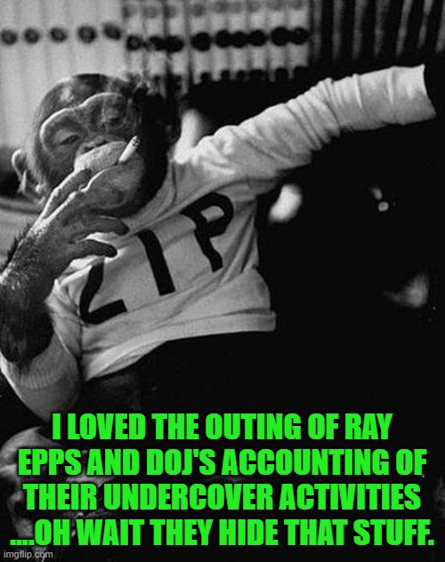 Zip the Smoking Chimp | I LOVED THE OUTING OF RAY EPPS AND DOJ'S ACCOUNTING OF THEIR UNDERCOVER ACTIVITIES ....OH WAIT THEY HIDE THAT STUFF. | image tagged in zip the smoking chimp | made w/ Imgflip meme maker
