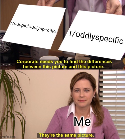 Reddit | r/suspiciouslyspecific; r/oddlyspecific; Me | image tagged in memes,they're the same picture | made w/ Imgflip meme maker