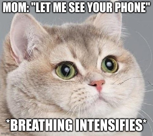 breathing intensifies | MOM: "LET ME SEE YOUR PHONE"; *BREATHING INTENSIFIES* | image tagged in breathing intensifies | made w/ Imgflip meme maker