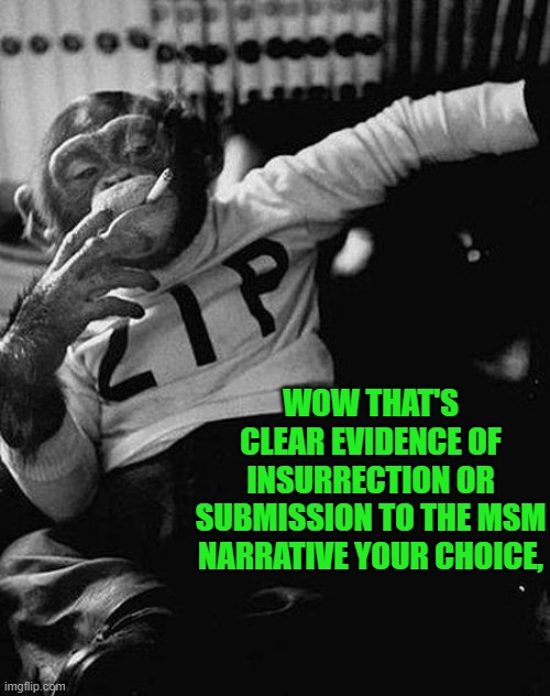 Zip the Smoking Chimp | WOW THAT'S CLEAR EVIDENCE OF INSURRECTION OR SUBMISSION TO THE MSM NARRATIVE YOUR CHOICE, | image tagged in zip the smoking chimp | made w/ Imgflip meme maker