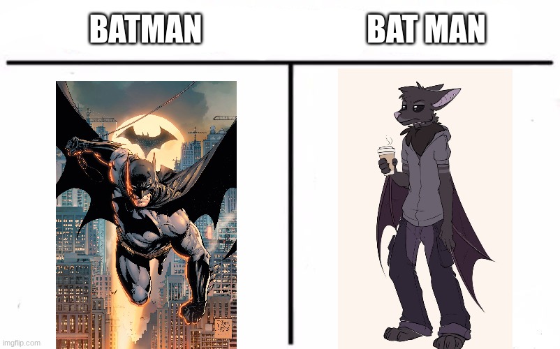 bats | BATMAN; BAT MAN | image tagged in memes,batman | made w/ Imgflip meme maker