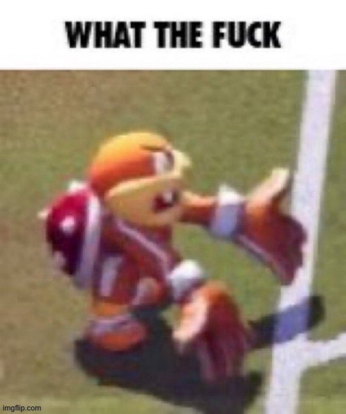 WHAT THE FUCK | image tagged in what the fuck | made w/ Imgflip meme maker