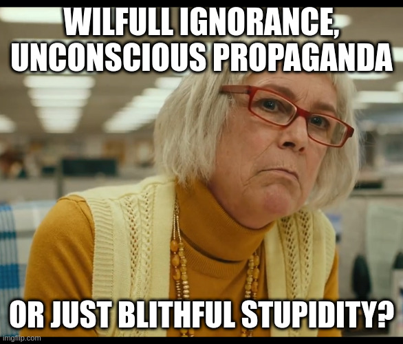 anyone voting for pierre pollievre | WILFULL IGNORANCE, UNCONSCIOUS PROPAGANDA OR JUST BLITHFUL STUPIDITY? | image tagged in auditor bitch,conservatives,career,politician,slimy | made w/ Imgflip meme maker