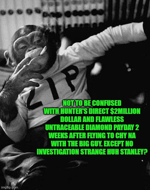 Zip the Smoking Chimp | NOT TO BE CONFUSED WITH HUNTER'S DIRECT $2MILLION DOLLAR AND FLAWLESS UNTRACEABLE DIAMOND PAYDAY 2 WEEKS AFTER FLYING TO CHY NA WITH THE BIG | image tagged in zip the smoking chimp | made w/ Imgflip meme maker