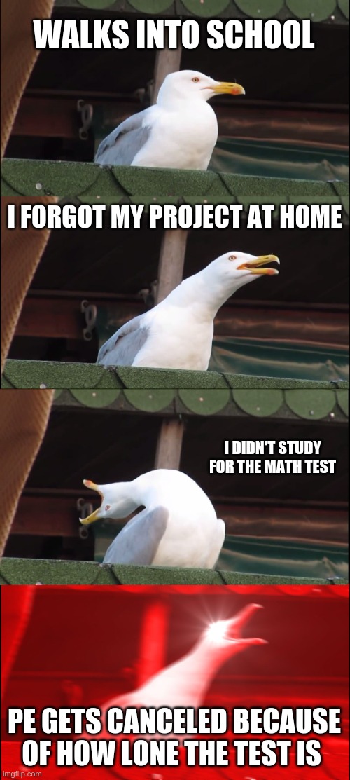 School | WALKS INTO SCHOOL; I FORGOT MY PROJECT AT HOME; I DIDN'T STUDY FOR THE MATH TEST; PE GETS CANCELED BECAUSE OF HOW LONE THE TEST IS | image tagged in memes,inhaling seagull | made w/ Imgflip meme maker