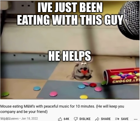 Link in comments | IVE JUST BEEN EATING WITH THIS GUY; HE HELPS | image tagged in mouse | made w/ Imgflip meme maker