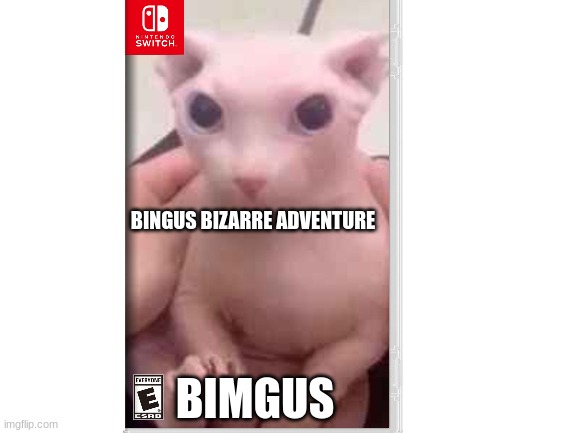 bimgus | BINGUS BIZARRE ADVENTURE; BIMGUS | image tagged in funny cat memes,video games,bing,bingus | made w/ Imgflip meme maker