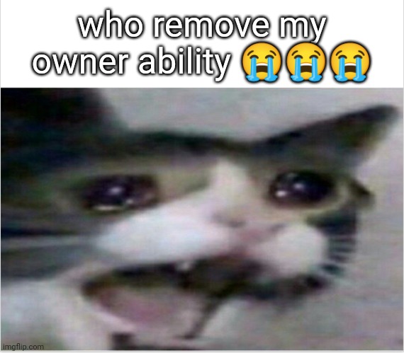 pls give it back *depressed noises* | who remove my owner ability 😭😭😭 | image tagged in crying cat,depression | made w/ Imgflip meme maker