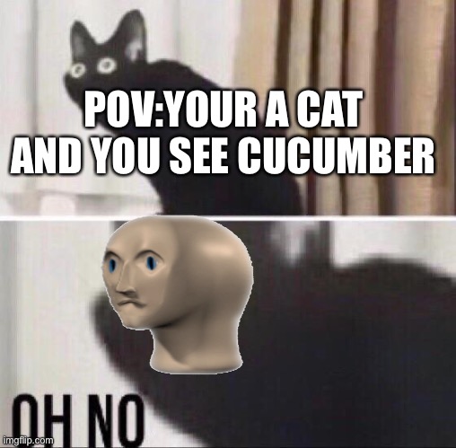Cat pov | POV:YOUR A CAT AND YOU SEE CUCUMBER | image tagged in oh no cat | made w/ Imgflip meme maker