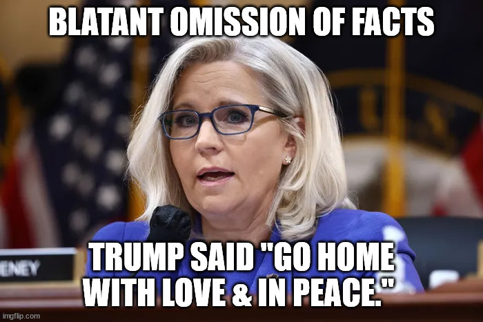 This is why nobody is watching the sham Jan 6 committee production | BLATANT OMISSION OF FACTS; TRUMP SAID "GO HOME WITH LOVE & IN PEACE." | image tagged in liar liar,rino | made w/ Imgflip meme maker