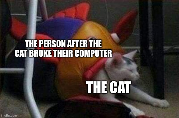 Cat eaten by play-fish | THE PERSON AFTER THE CAT BROKE THEIR COMPUTER THE CAT | image tagged in cat eaten by play-fish | made w/ Imgflip meme maker