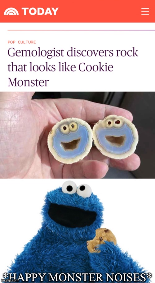 *Happy me noises* |  *HAPPY MONSTER NOISES* | image tagged in cookie monster | made w/ Imgflip meme maker