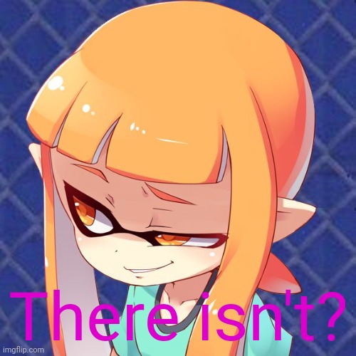 Smug Inkling | There isn't? | image tagged in smug inkling | made w/ Imgflip meme maker